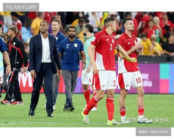 奥地利球迷热情高涨，世界杯预选赛现场气氛火爆